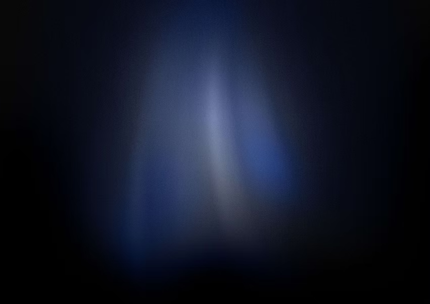 SİNEKLİ ÖYKÜ YA DA BİR ÜLKENİN SONU