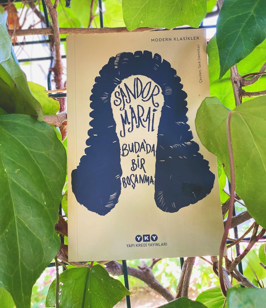 Kömives mi Márai mi?